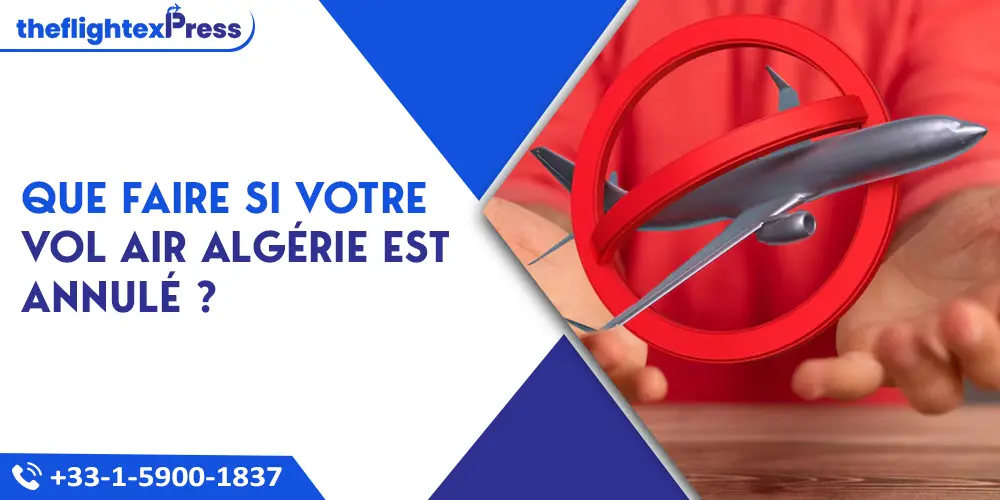 Que faire si votre vol Air Algérie est annulé ? | TheflightexPress