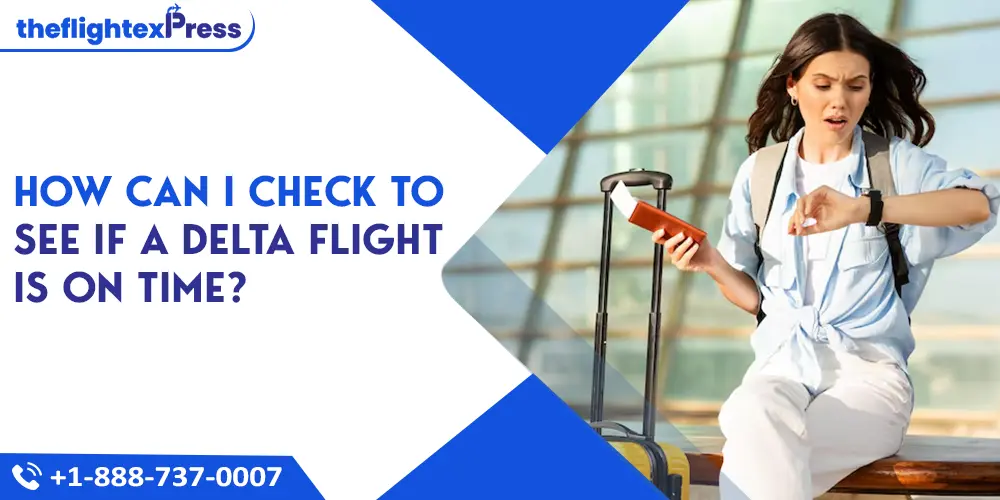 How Can I Check to See If a Delta Flight Is on Time? | TheflightexPress