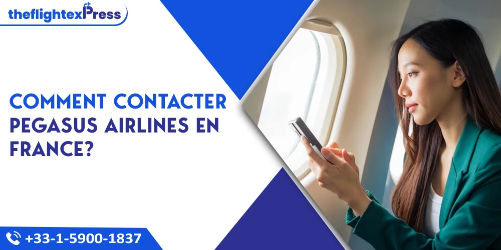 Comment contacter Pegasus Airlines en France?  | TheflightexPress