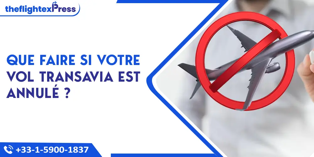 Que faire si votre vol Transavia est annulé ? | TheflightexPress