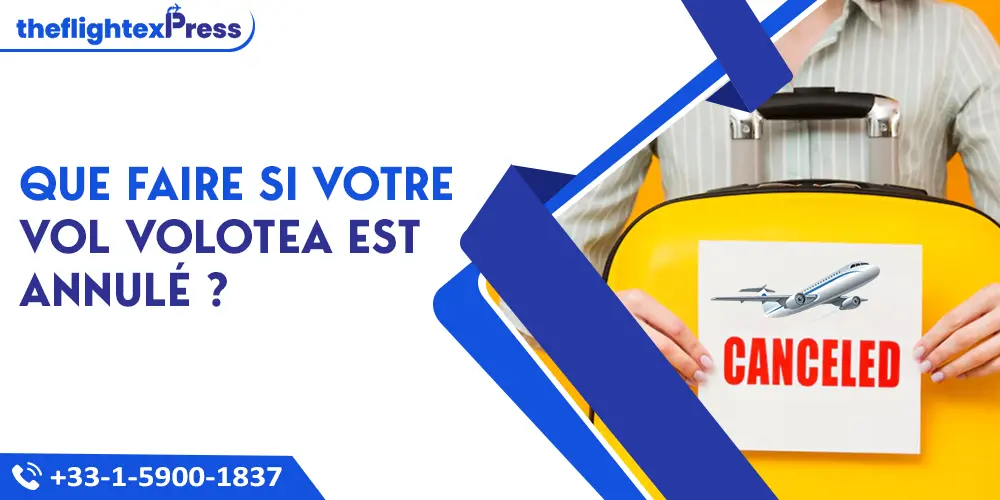 Que faire si votre vol Volotea est annulé ? | TheflightexPress